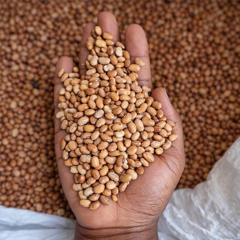 Honey Beans (Oloyin) – 20kg Premium Quality