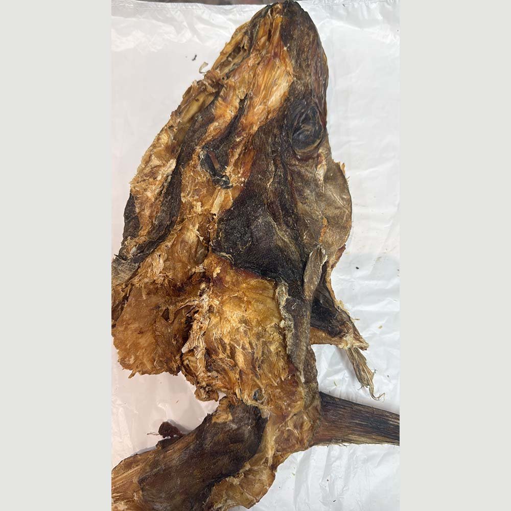 Stockfish head (Medium & Big)