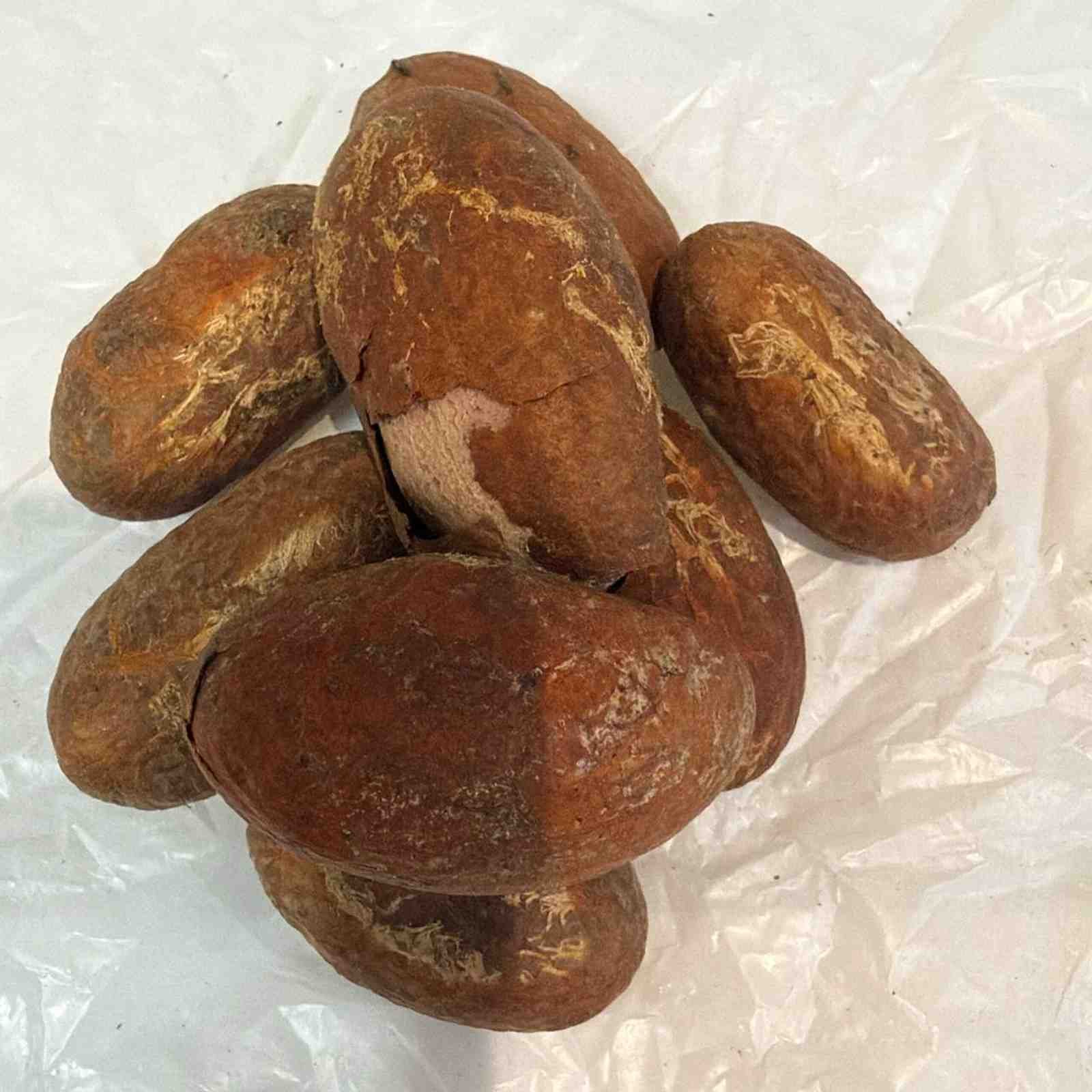 Bitter Kola nuts x3