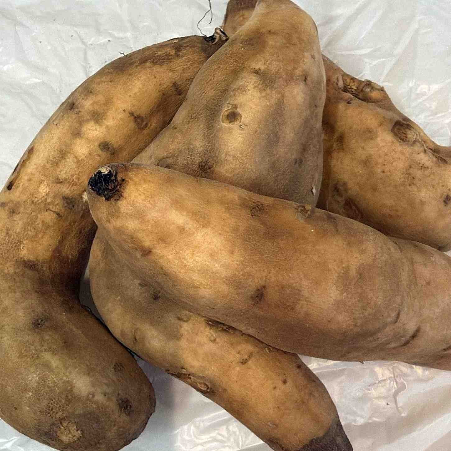 Honey sweet potato per kilo