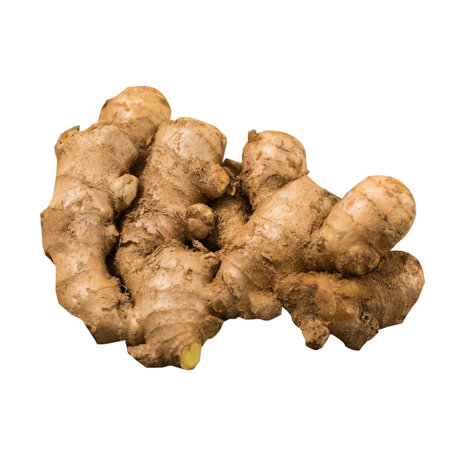 Fresh Ginger per kilo